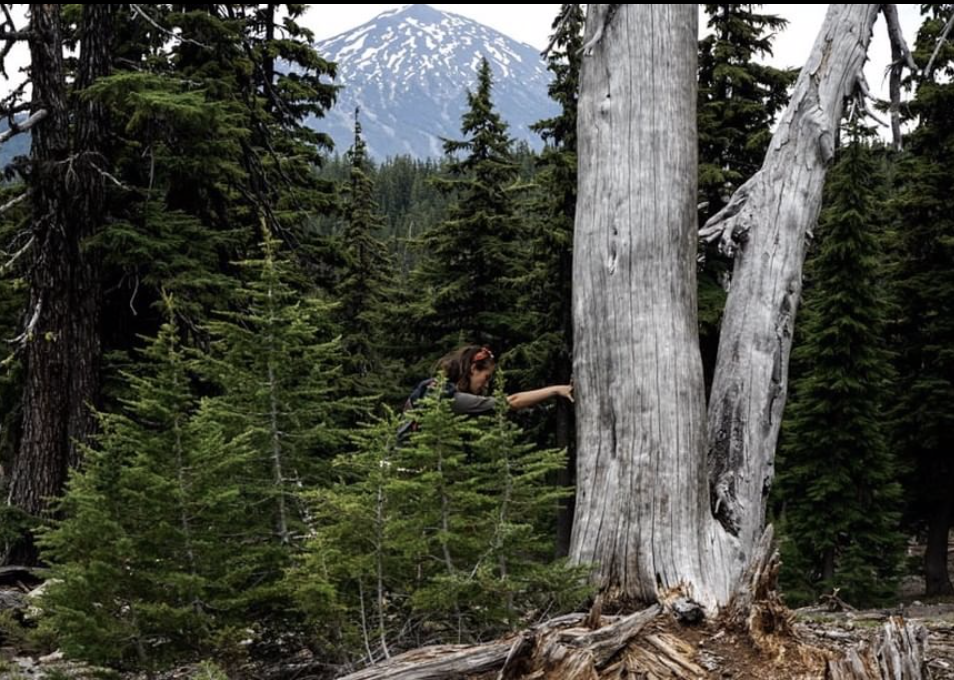 Screen Shot 2020-08-13 at 1.46.26 PM.png