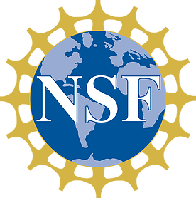 NSF.png