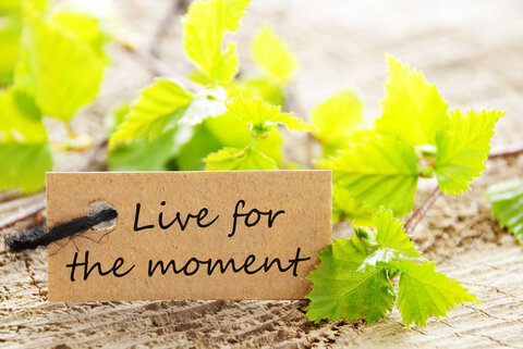 The Art of Being Here Now: In the Moment Coaching