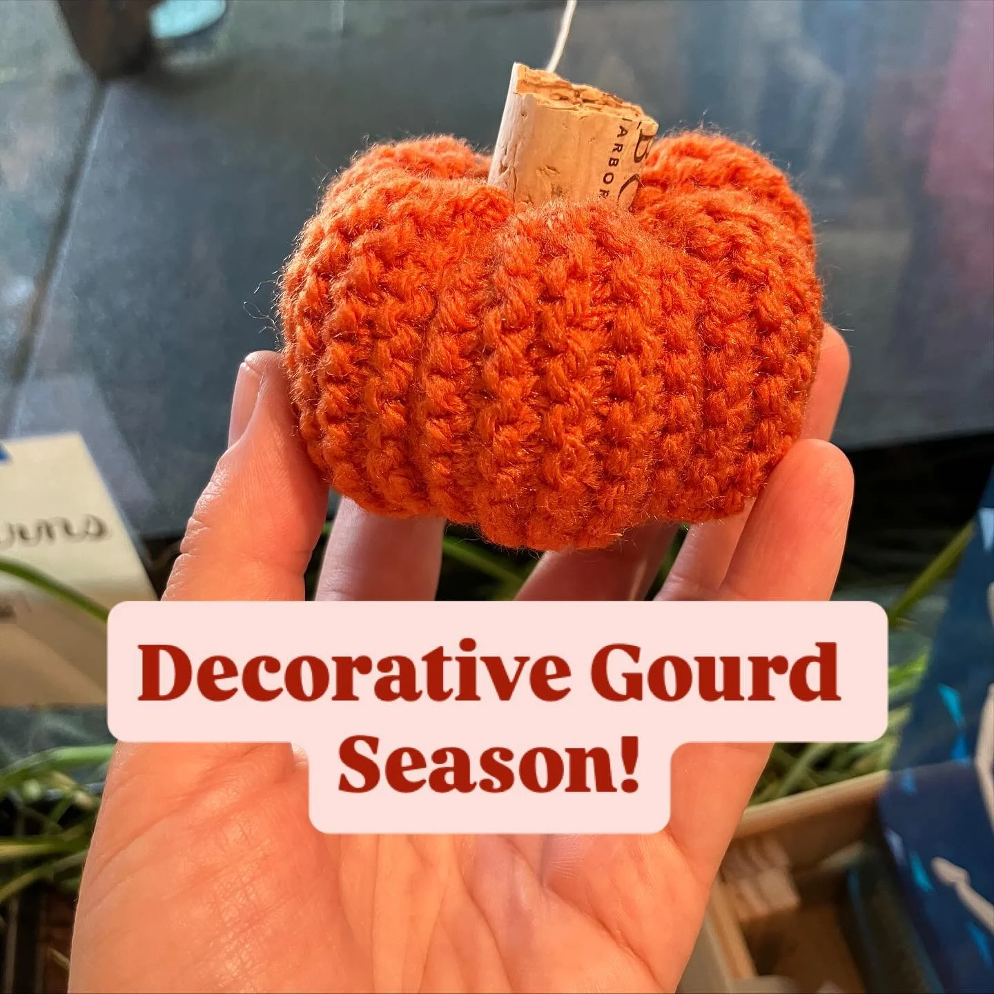 Happy Autumnal Equinox!
.
Did you know you can MAKE pumpkins and other decorative gourds? This is a simple knit rectangle with a cork stem.
.
.
.
#happyfall #bainbridgeisland #happyequinox #decorativegourdseason