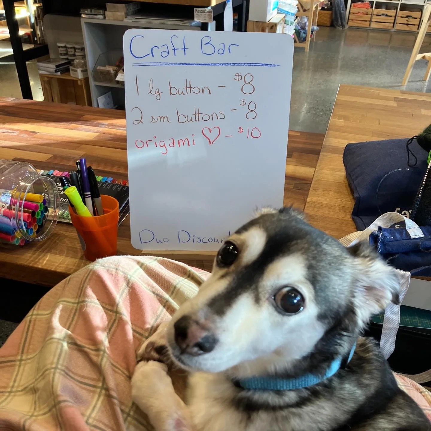 Most of the time, the Craft Bar includes puppy time! Here we have Gizmo waiting for the next customers to come make things!
.
Also a reminder, this is the last week of Love Local.
.
.
#lovelocal98110 #shopdog