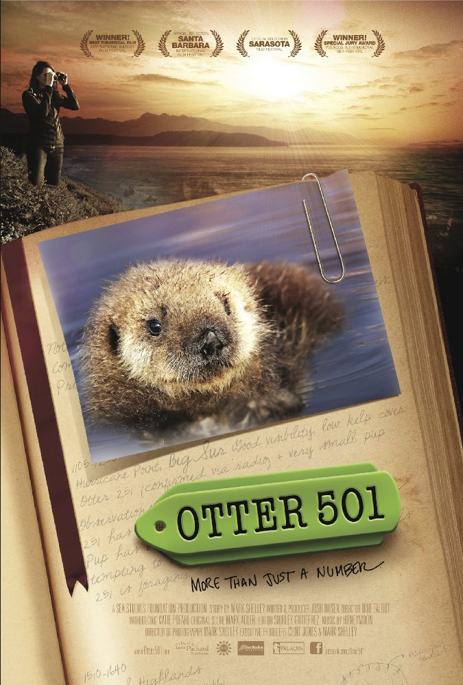 Otter 501 - Effects Editor, Backgrounds