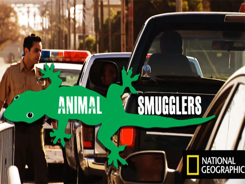 NewGaller_animalsmugglers1.jpg