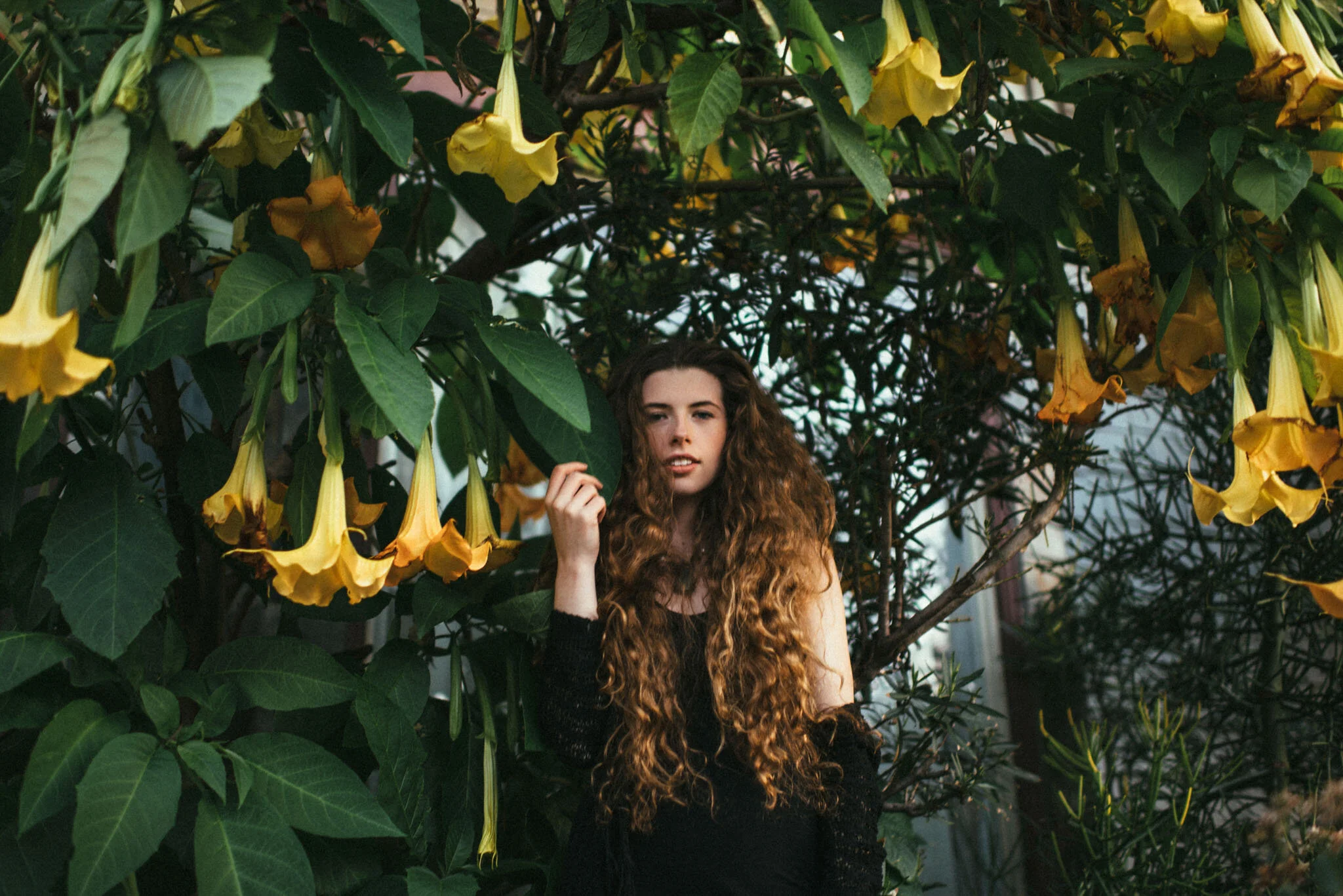 SeanMoney-ElizabethFay-portrait-_DSC1433A.jpg