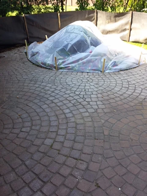 Billy Williams, Cubs Legend with Failing Sealer - Before