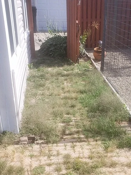 Has your home gotten out of control?