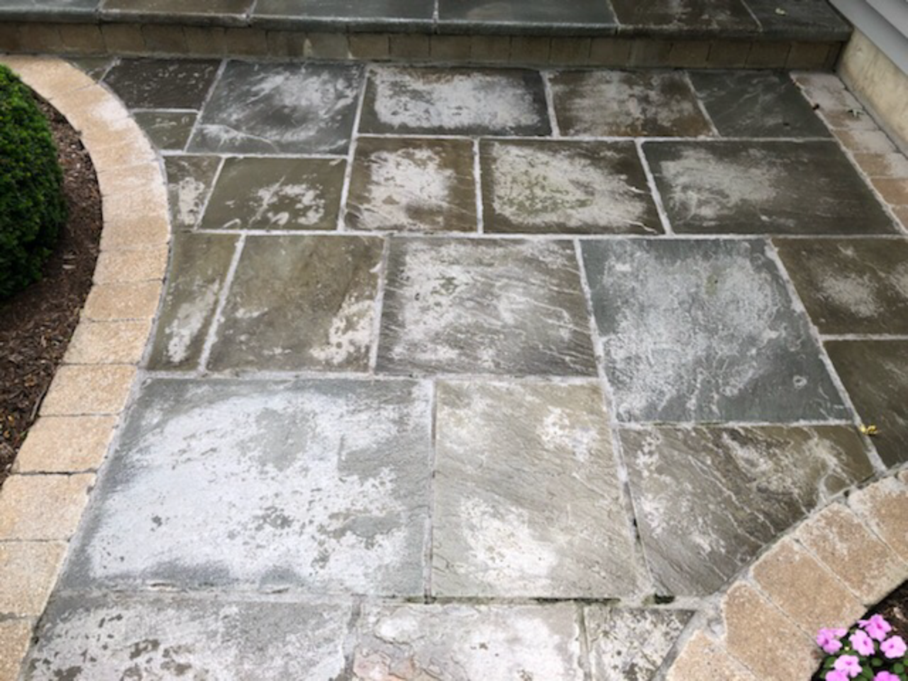 Before: failing sealer, whiting , lifting and pealing sealer. Just ugly