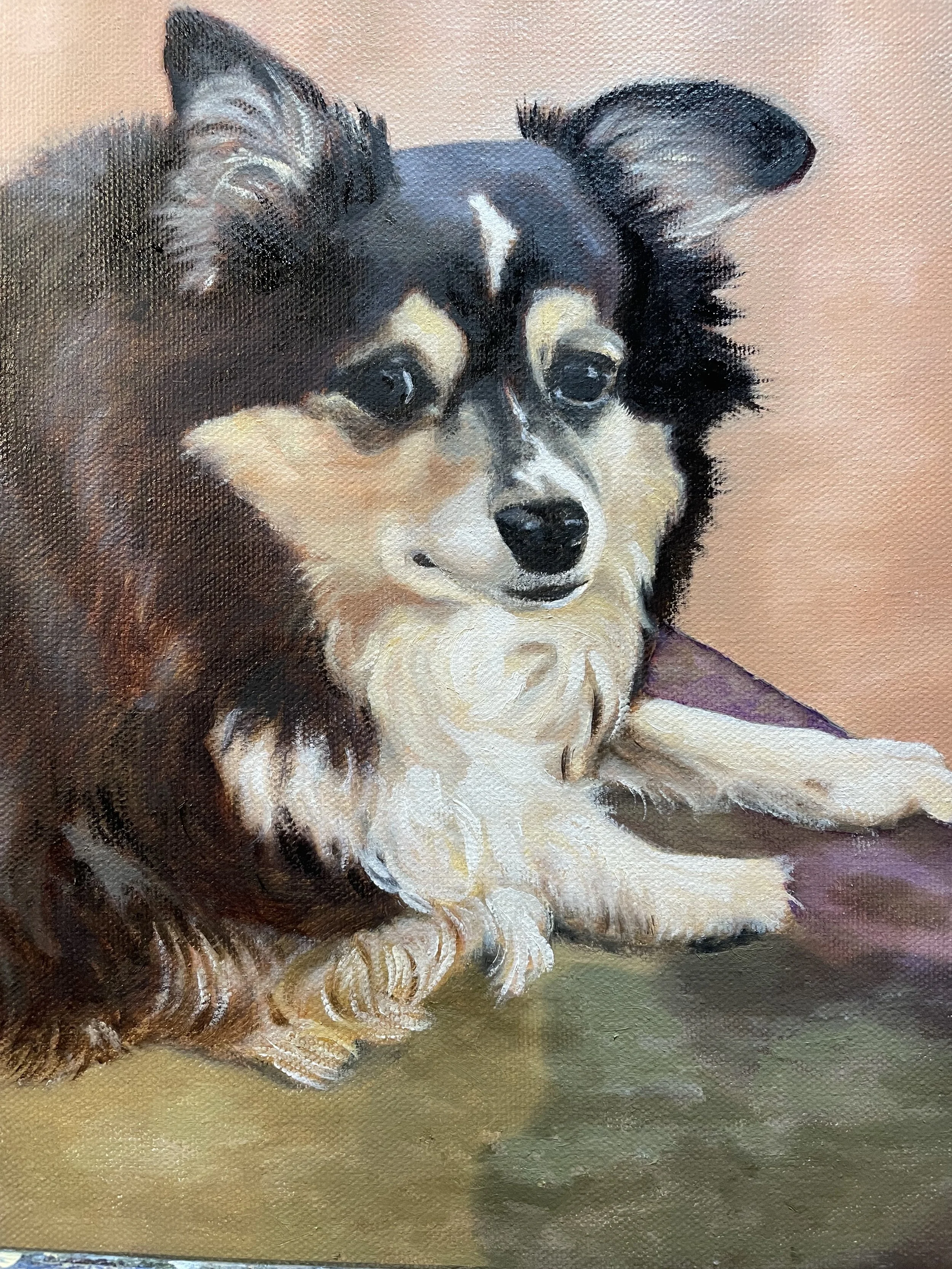Pet Portrait Example: "Midas"