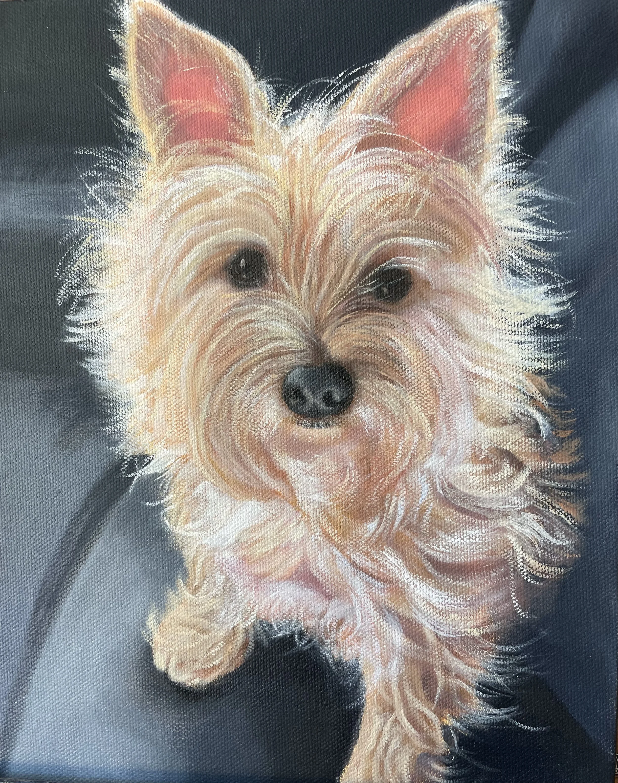 Pet Portrait Example: "Rocklin"
