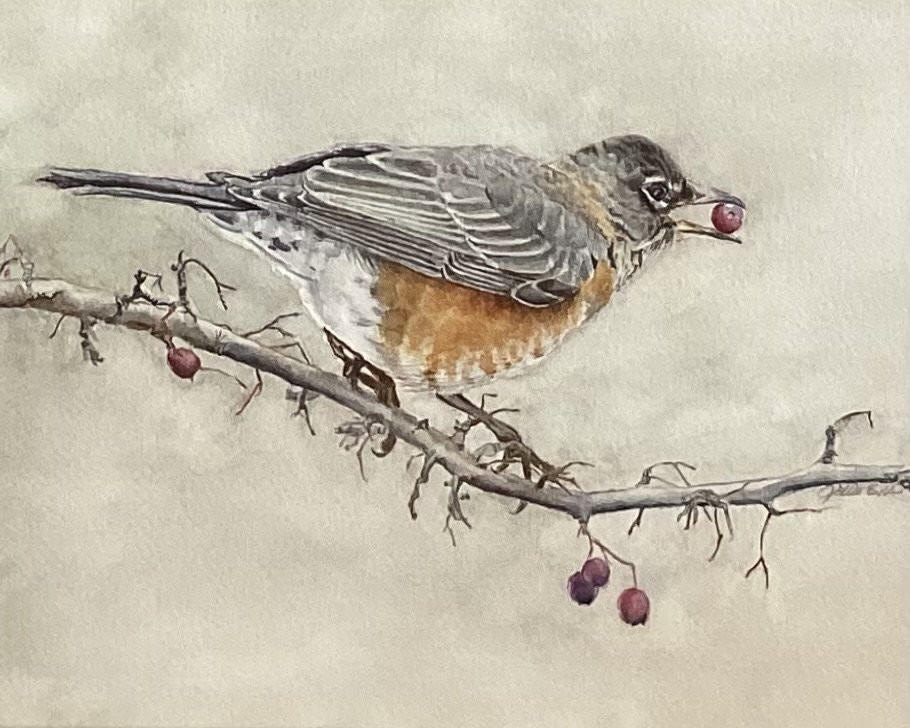 "Robin"