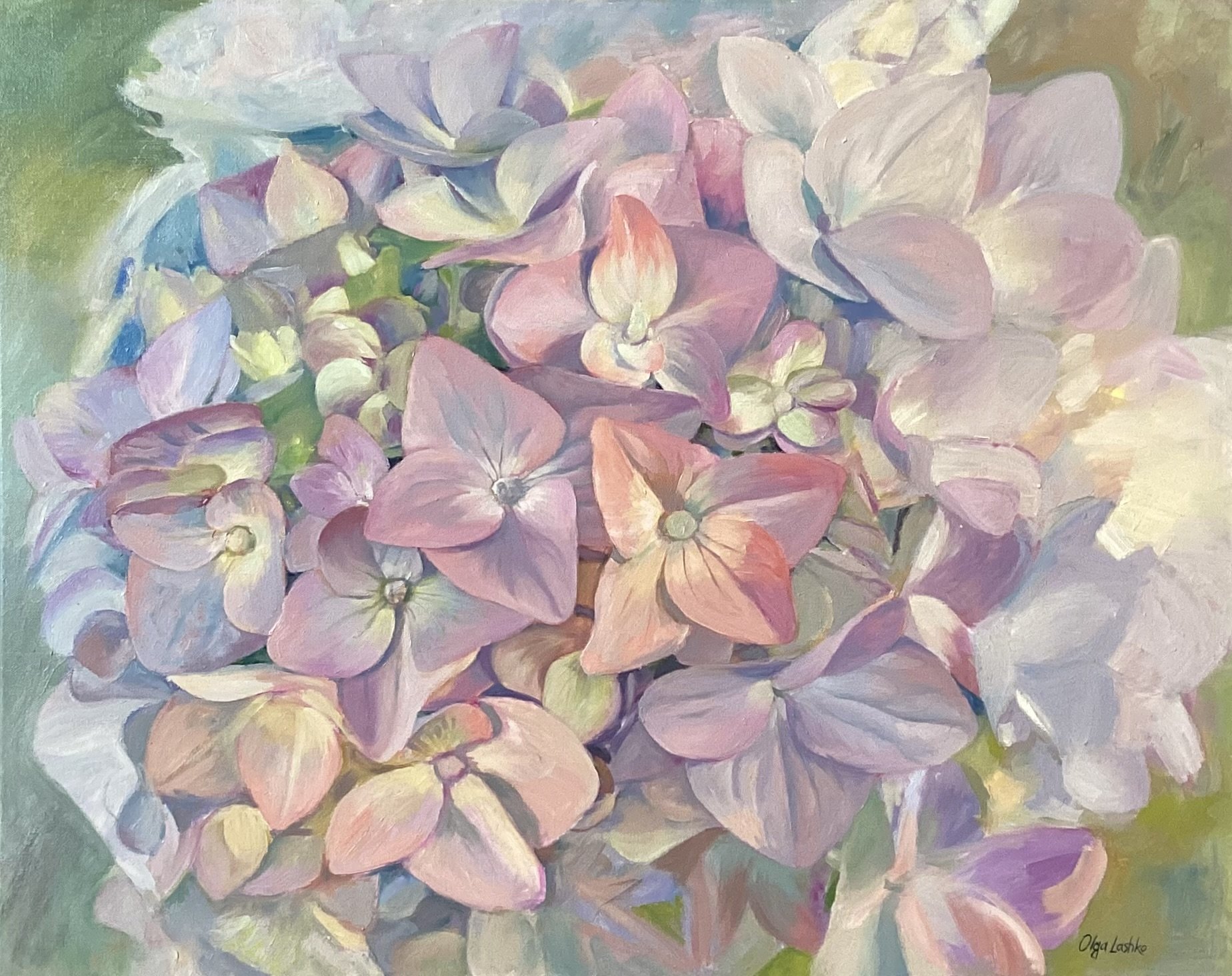"Pink Hydrangeas"