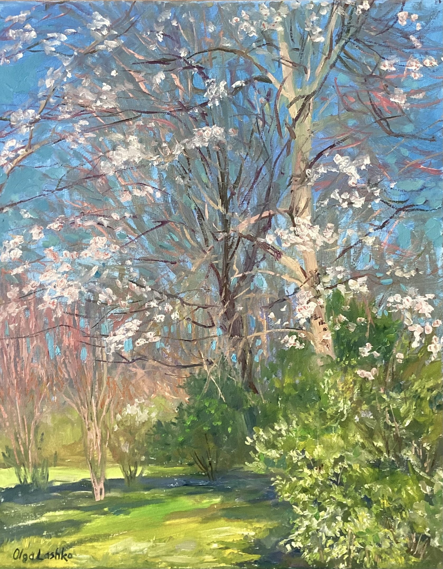 "Spring Day"