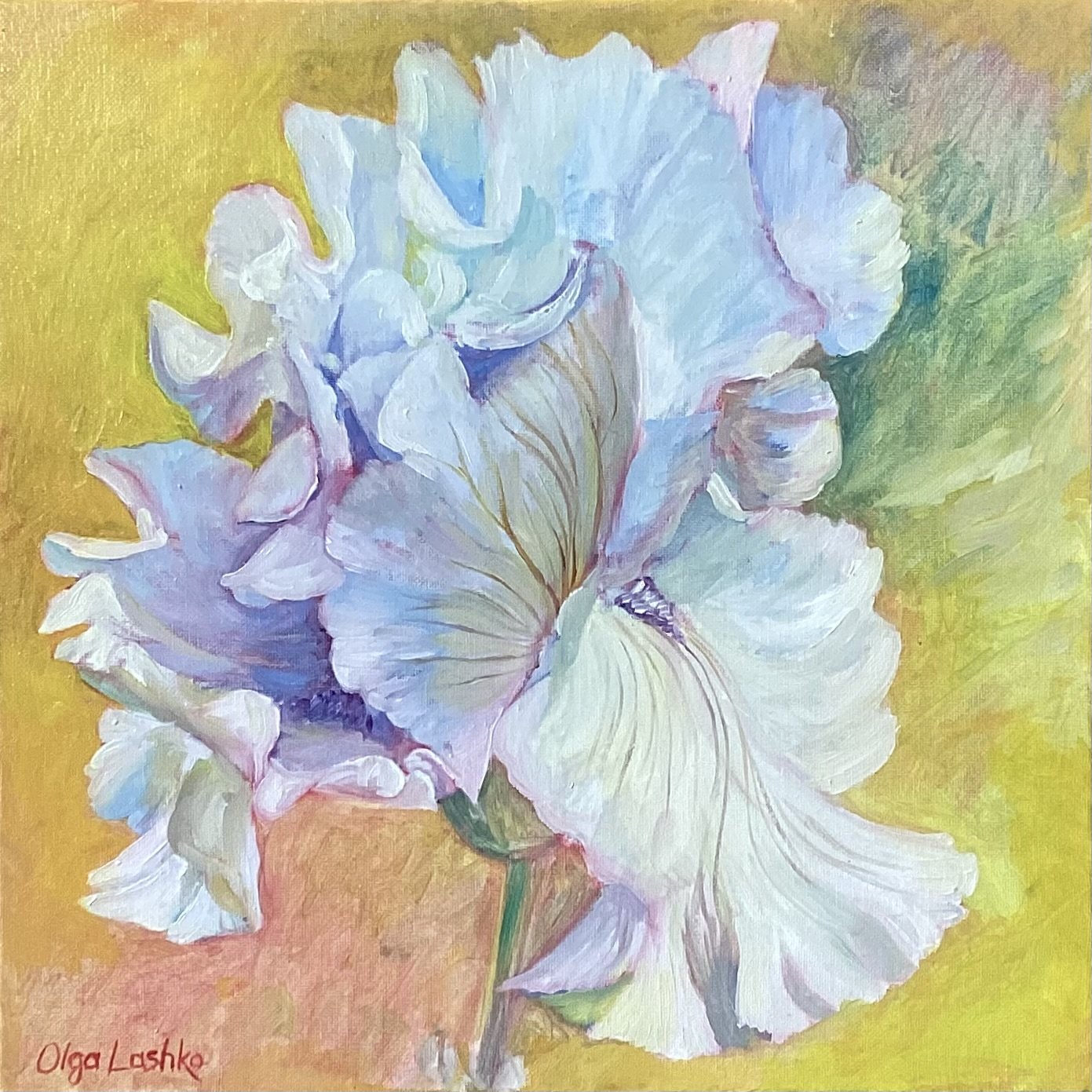 "White Iris II"
