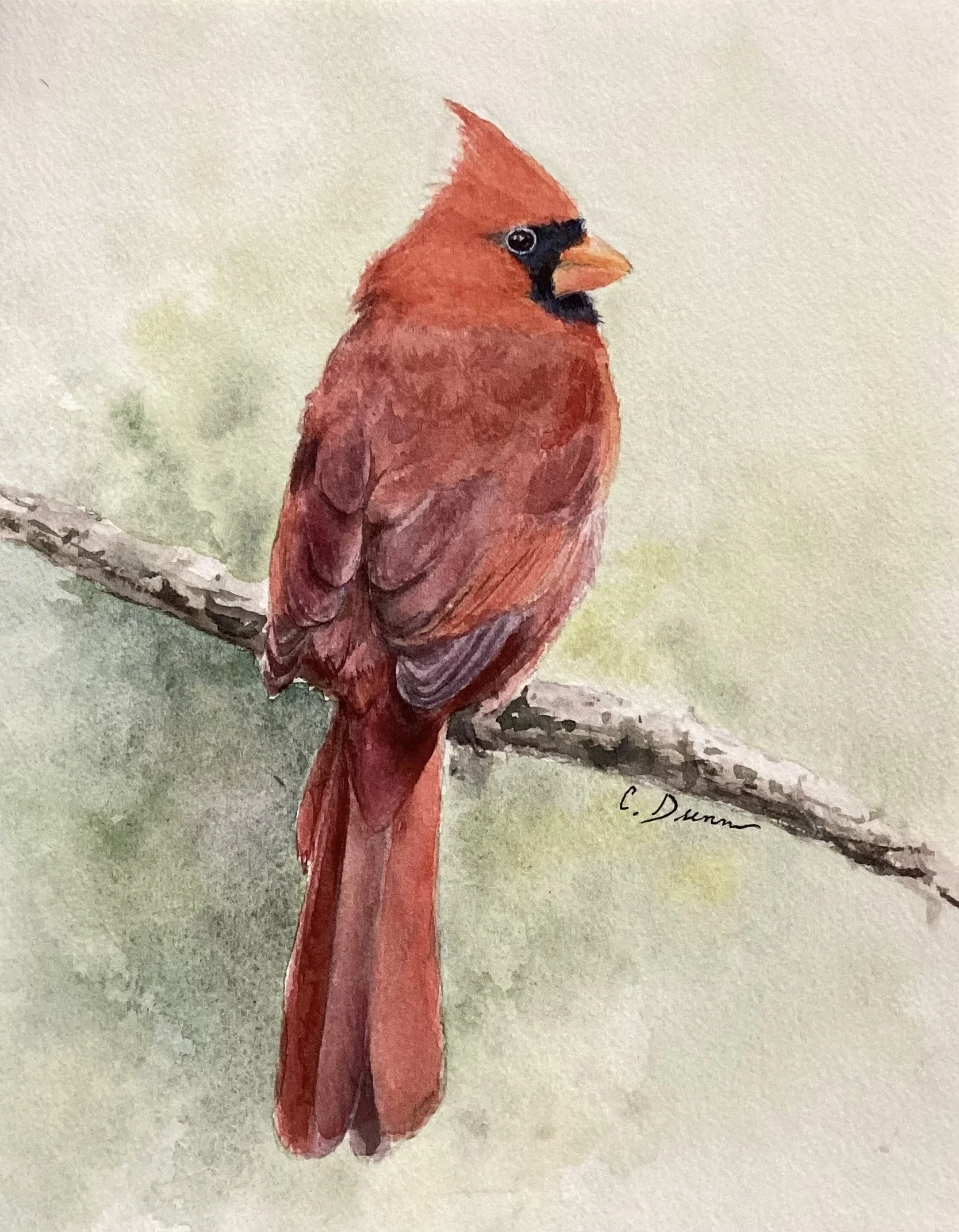 "Regal Red"