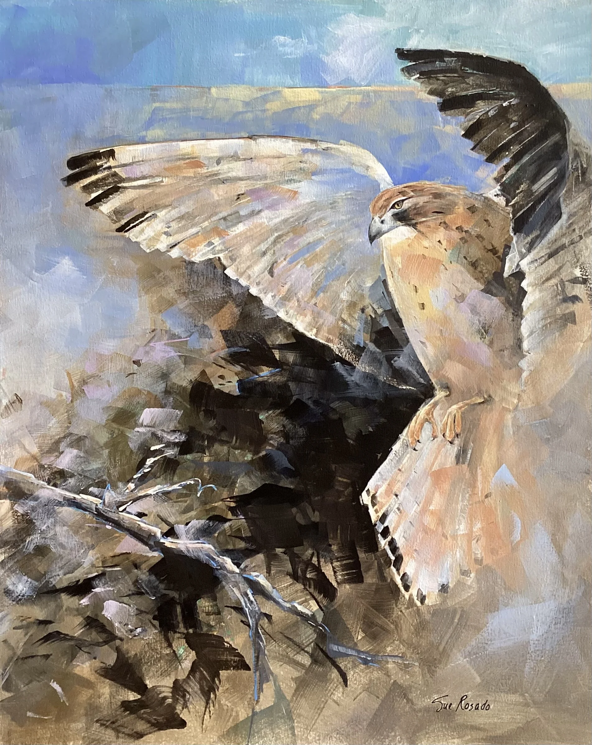Red Tail Hawk - Acrylic - 24 x 30 - Rosado.jpeg