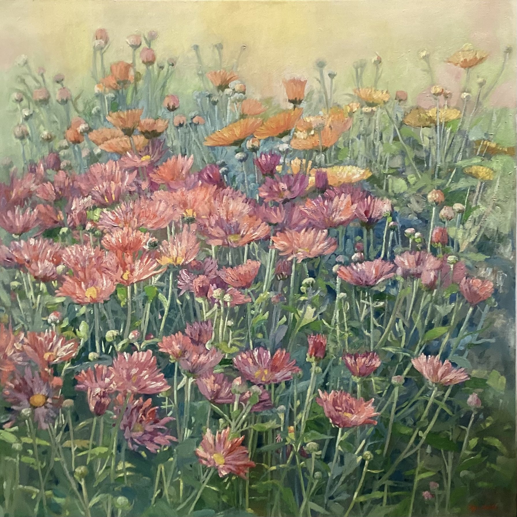 Wild Chrysanthemums - Oil - 36 x 36 - Lashko.jpeg
