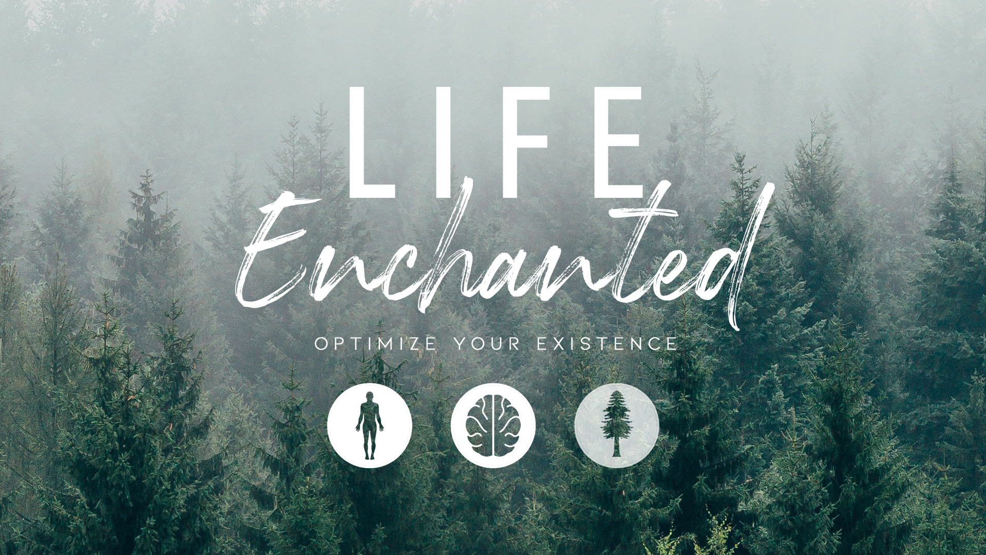 Website Header.png