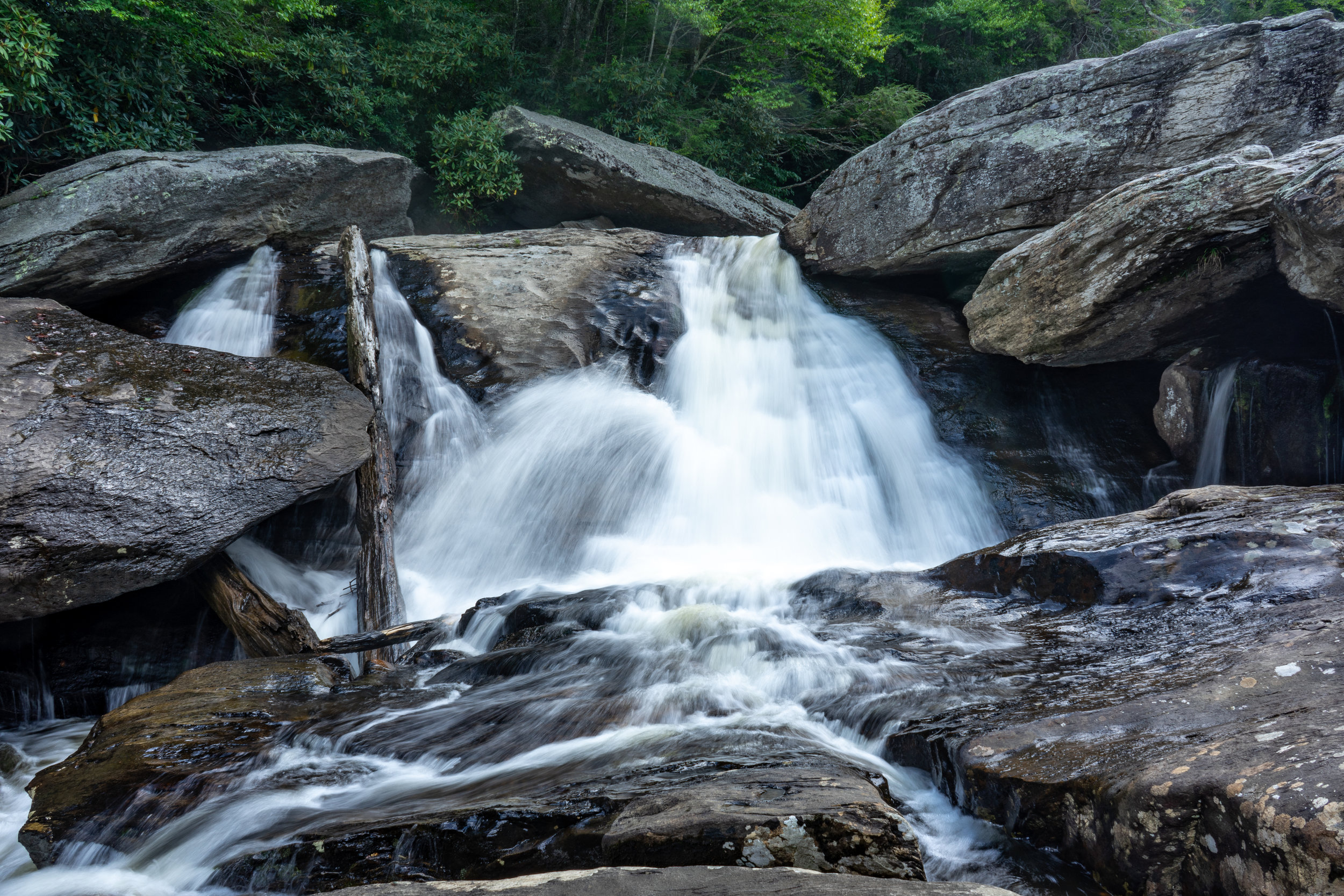 Website-Nature-HebronRockColony-03310.jpg