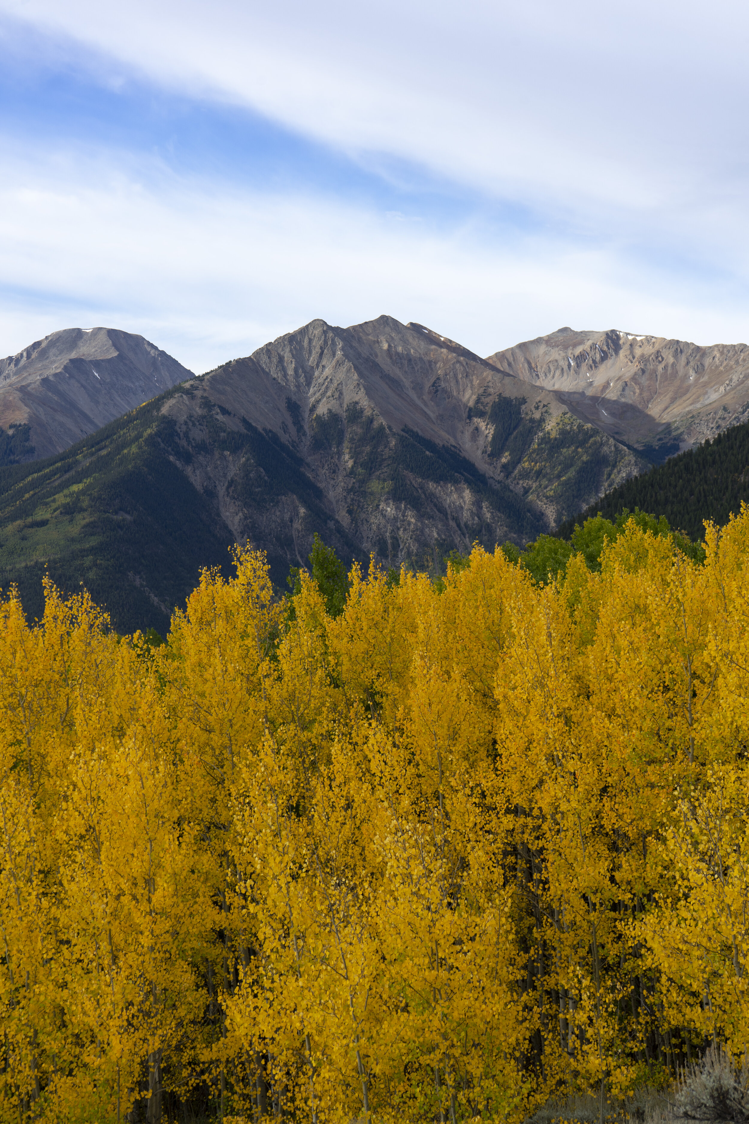 Fall In The Rockies