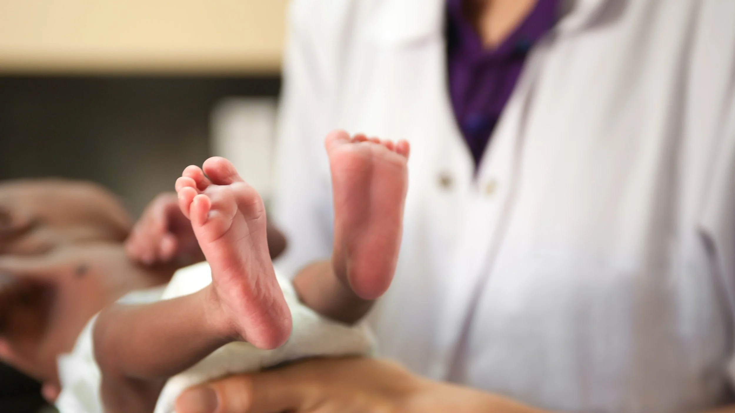 iStock-533246581.jpg