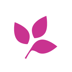 Screen Shot 2018-02-12 at 12.52.18 PM.png