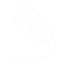 Dragonfly-Watermarksm2.png