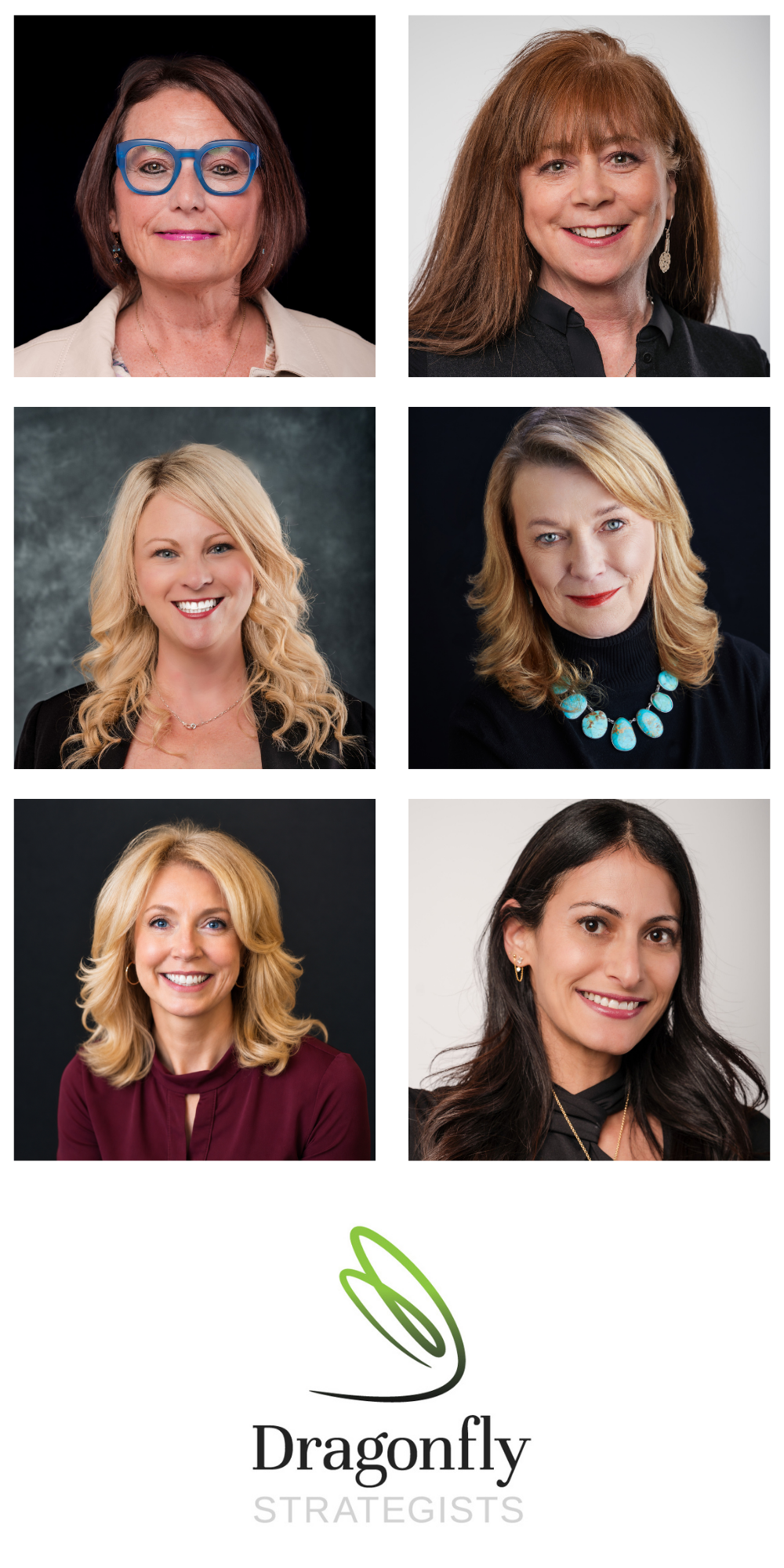 Dragonfly Strategists' Executive Team