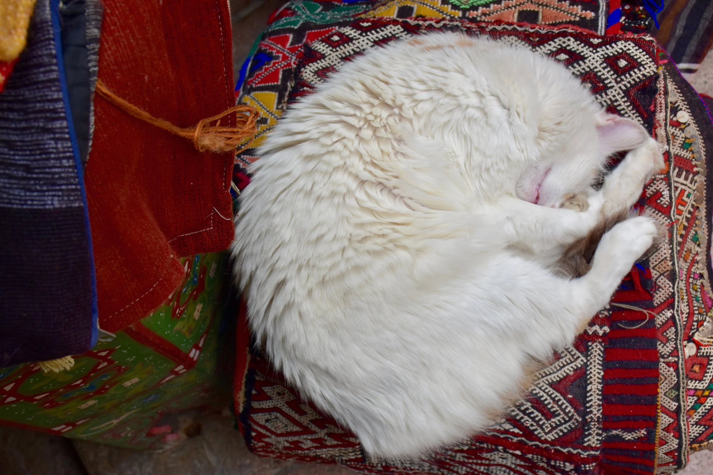 DSC_8996.jpg