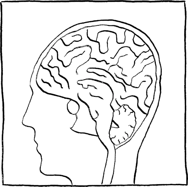 Brain.jpg