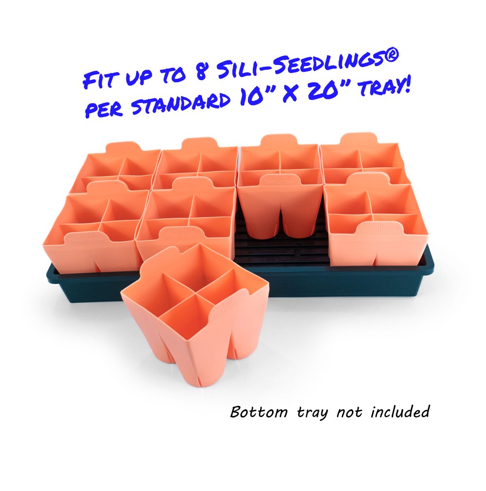Silicone Seed Tray - 4-cell XL — Sili-Seedlings