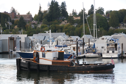 Photo Courtesy Olympia Harbor Days