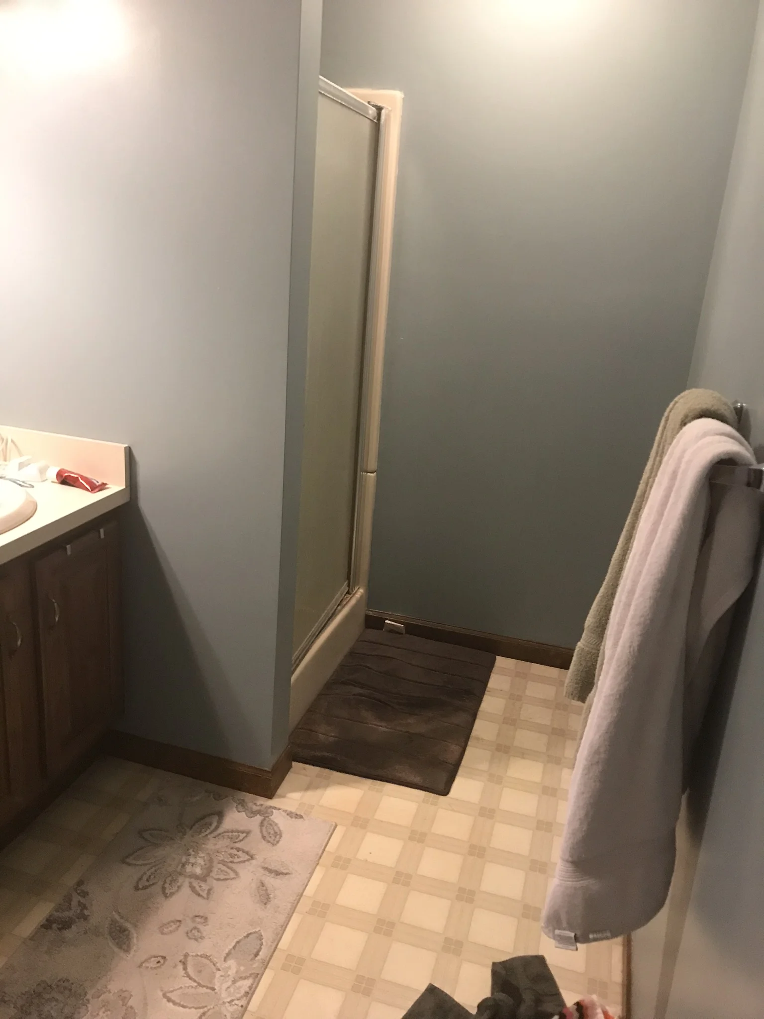 Basement Bathroom Before.jpeg