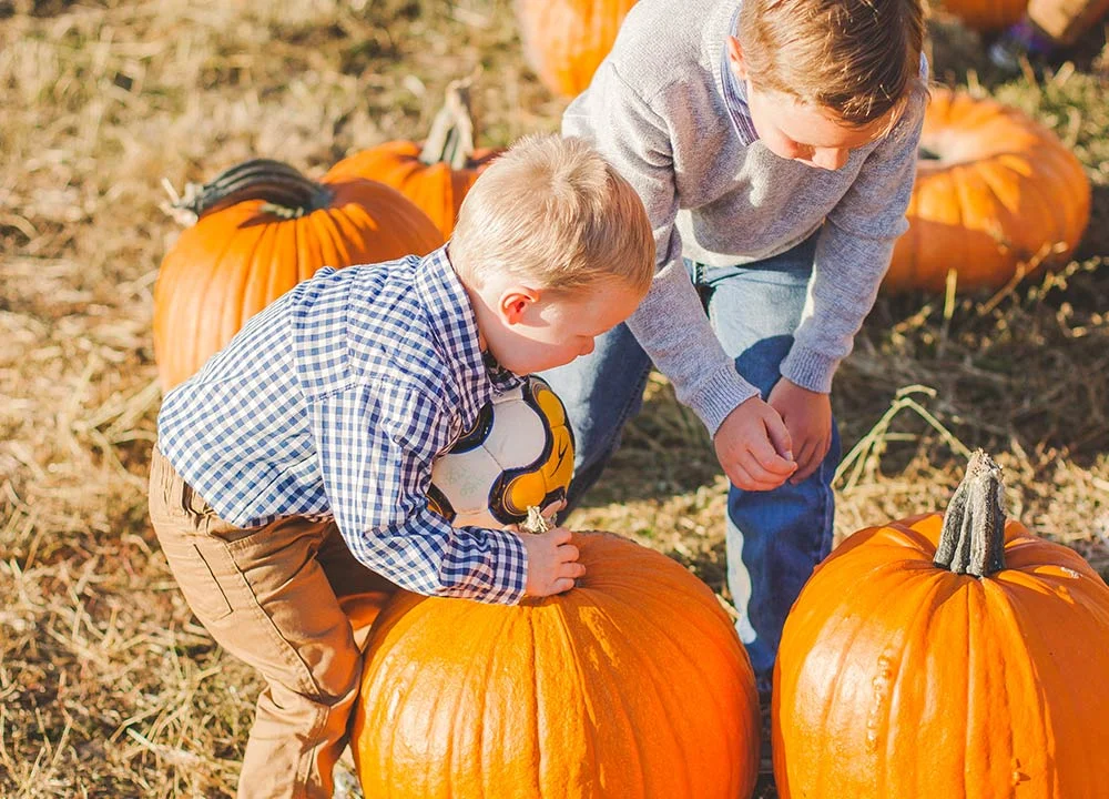 Choose your Favorite