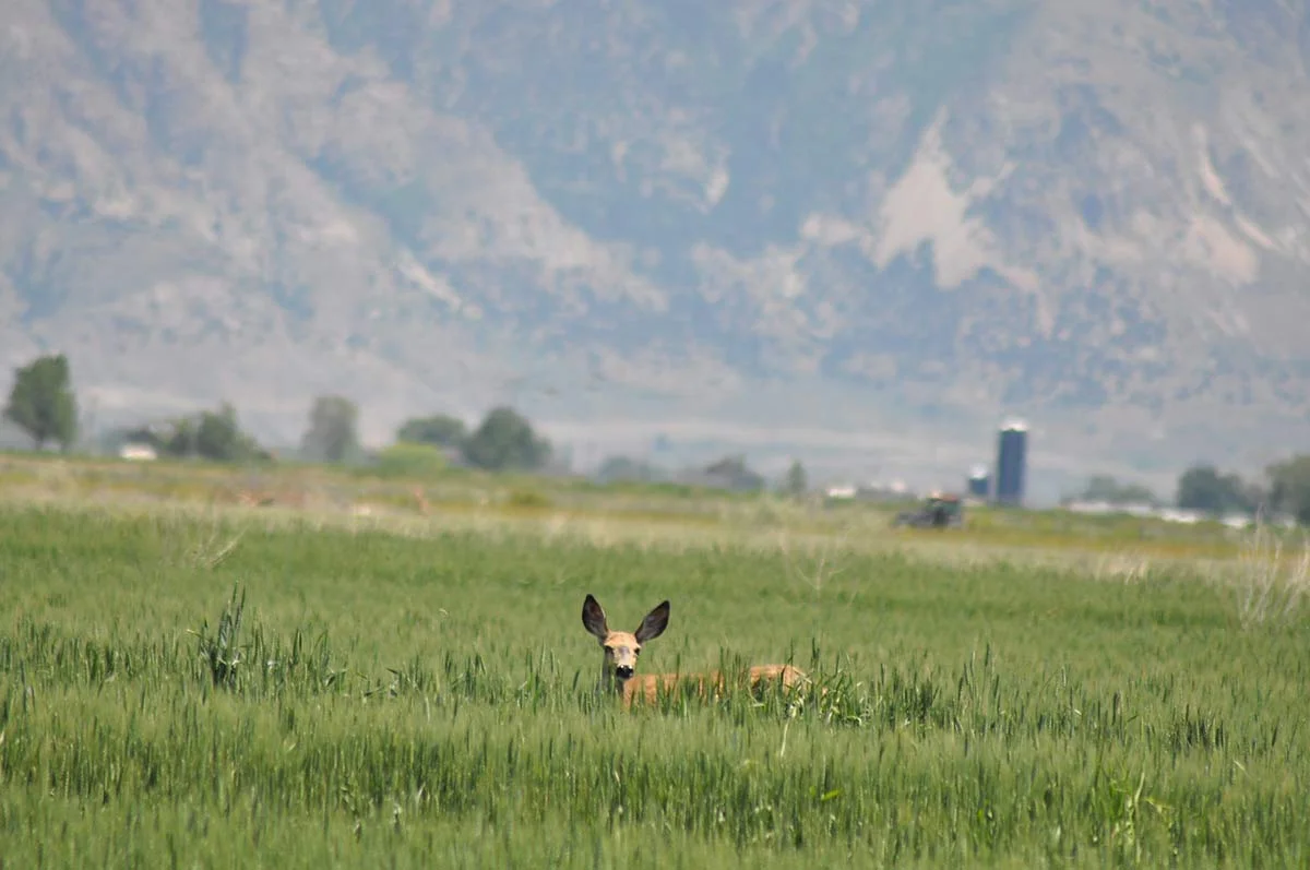 DSC_0230.jpg