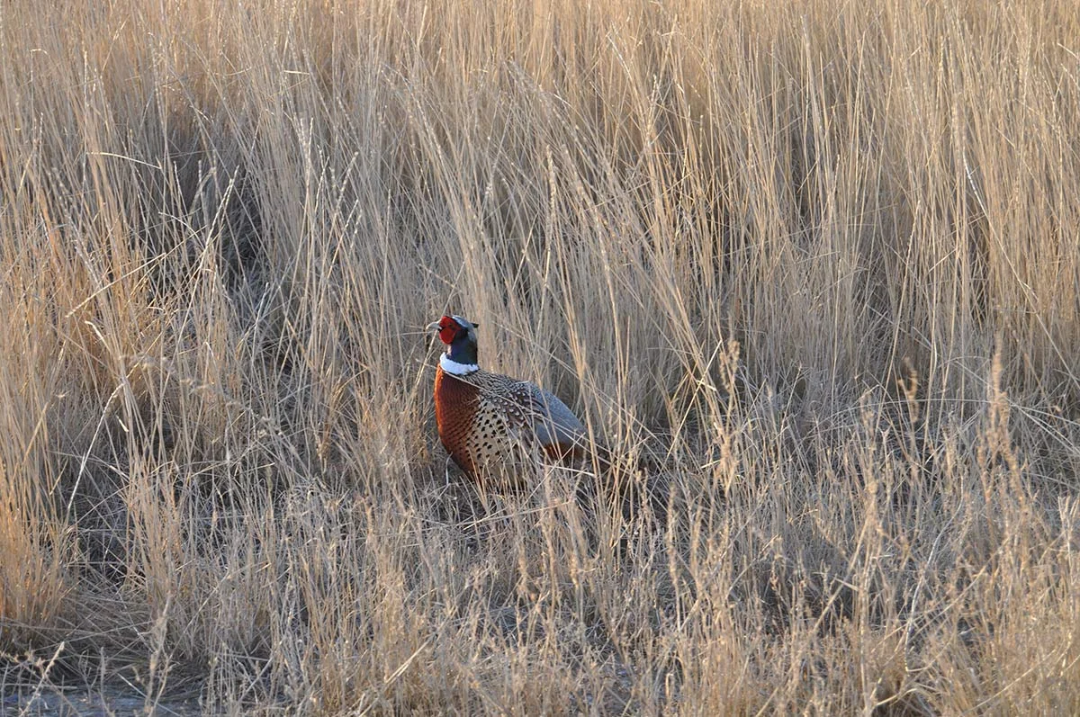 DSC_0304.jpg