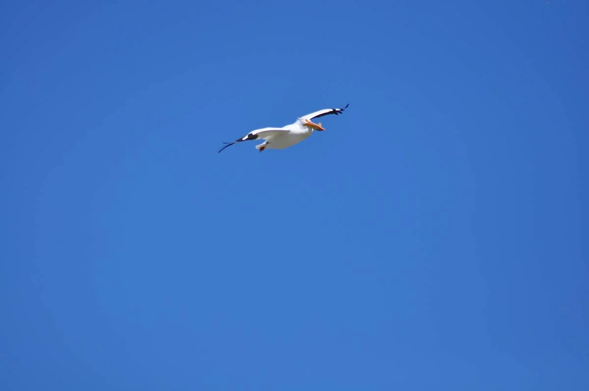 DSC_0544.jpg