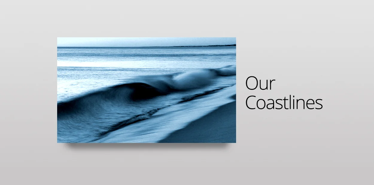 The delicate nutrient balance on our&nbsp;coasts