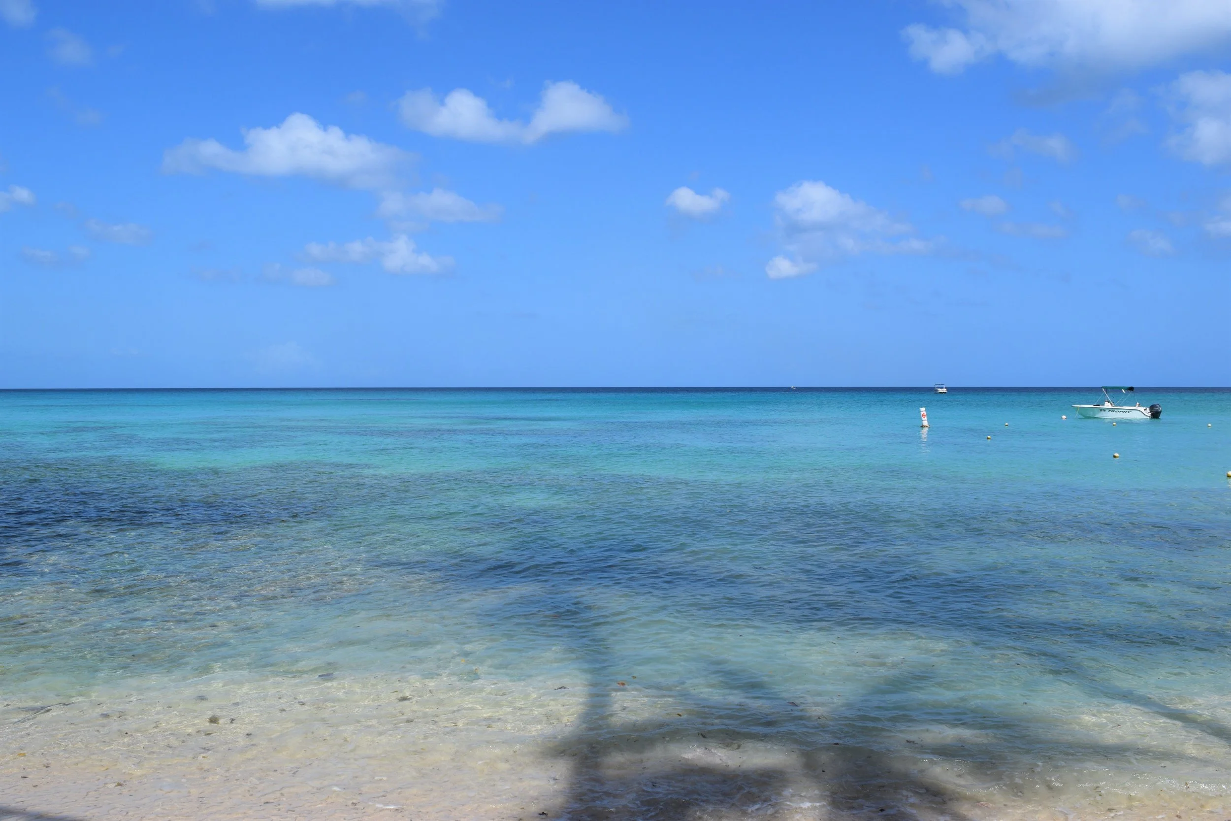 Soak Up The Sun And Save The Reefs