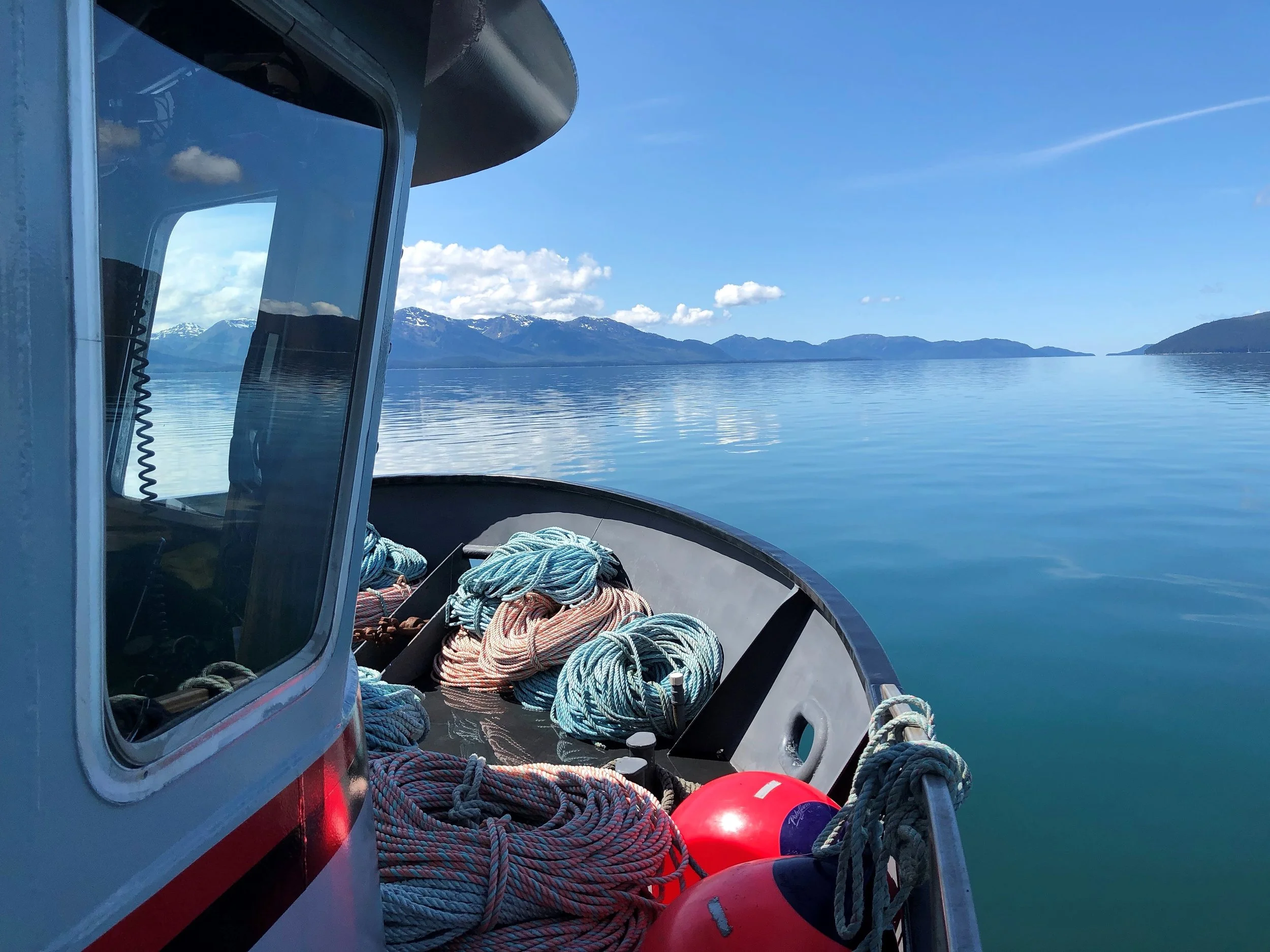 Report from Alaska #2