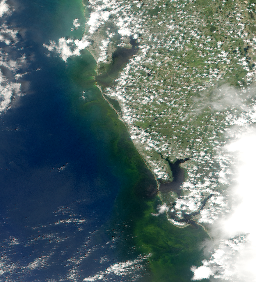 Florida's Red Tide Epidemic