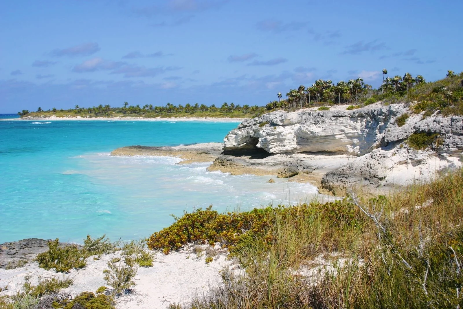 Cruise Tourism in the Bahamas Spells Trouble in Paradise