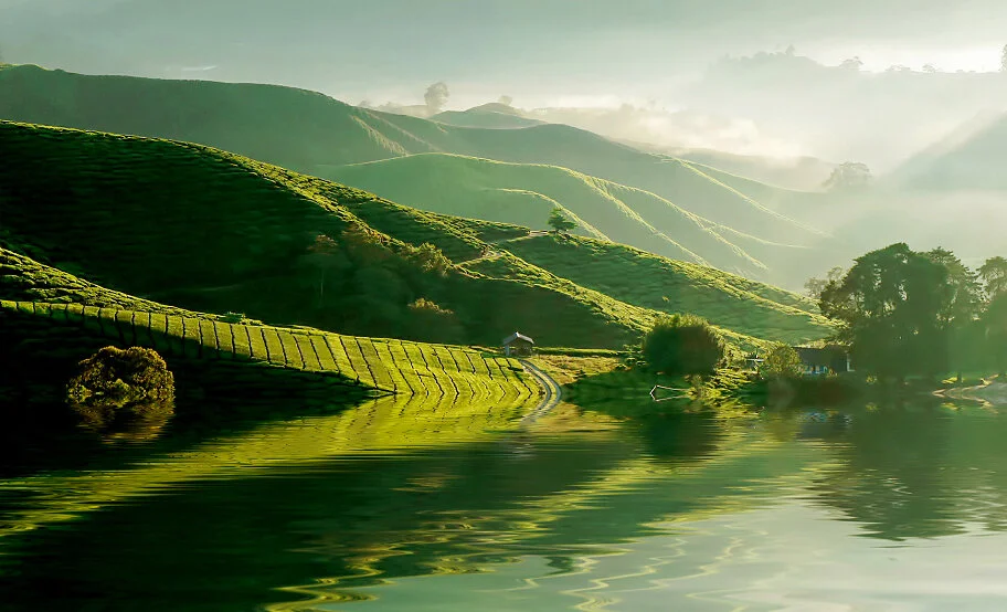 How Much Will Be Left Of Our World?