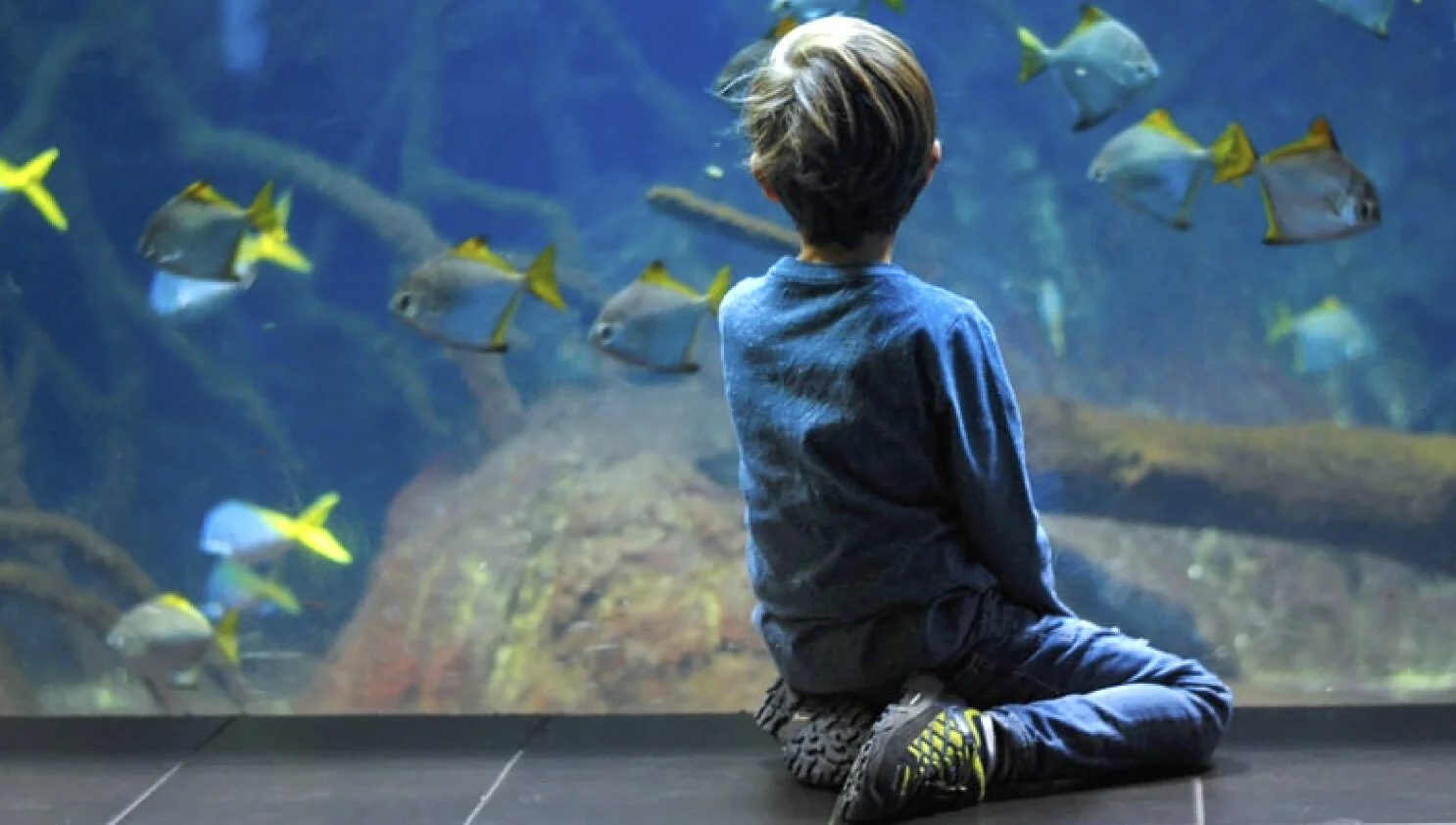 Are We Protecting Our Wildlife Friends the Way We Protect Our Human Friends