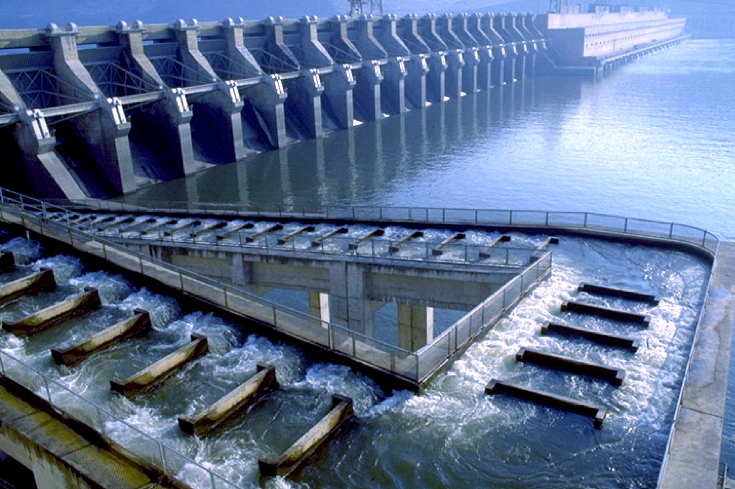 Not So Clean Energy: The Secrets of Hydroelectric Power