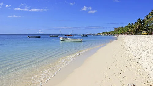 Bacteria to the Rescue: Using Microbial Bioremediation to Clean Up Oil Spills