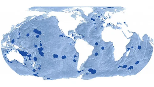 The Ocean Needs More Protected Areas – How Marine Spatial Planning Can Help