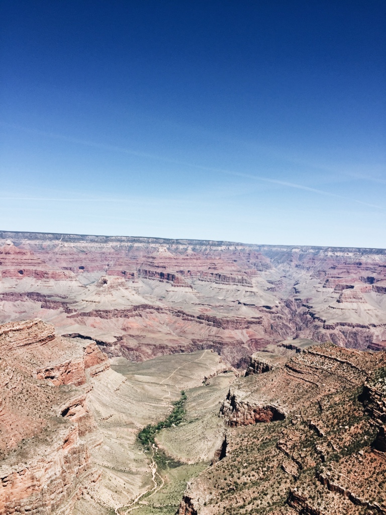 BD73BBDA-9640-482E-927C-5D7150F6D9AD.jpeg