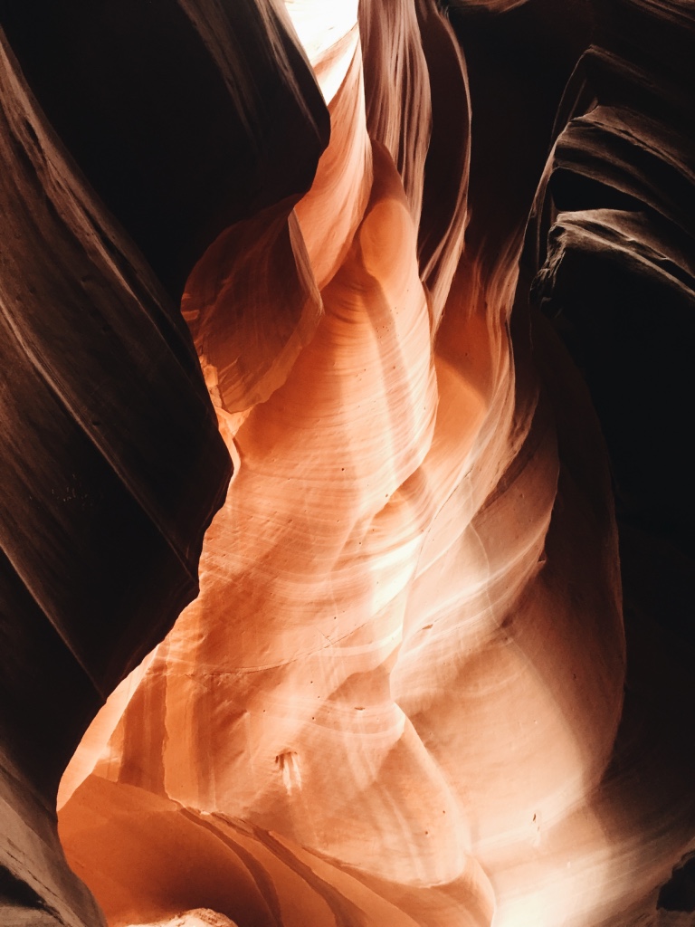 8488D556-530C-40E6-A663-1101FC2BF31F.jpeg