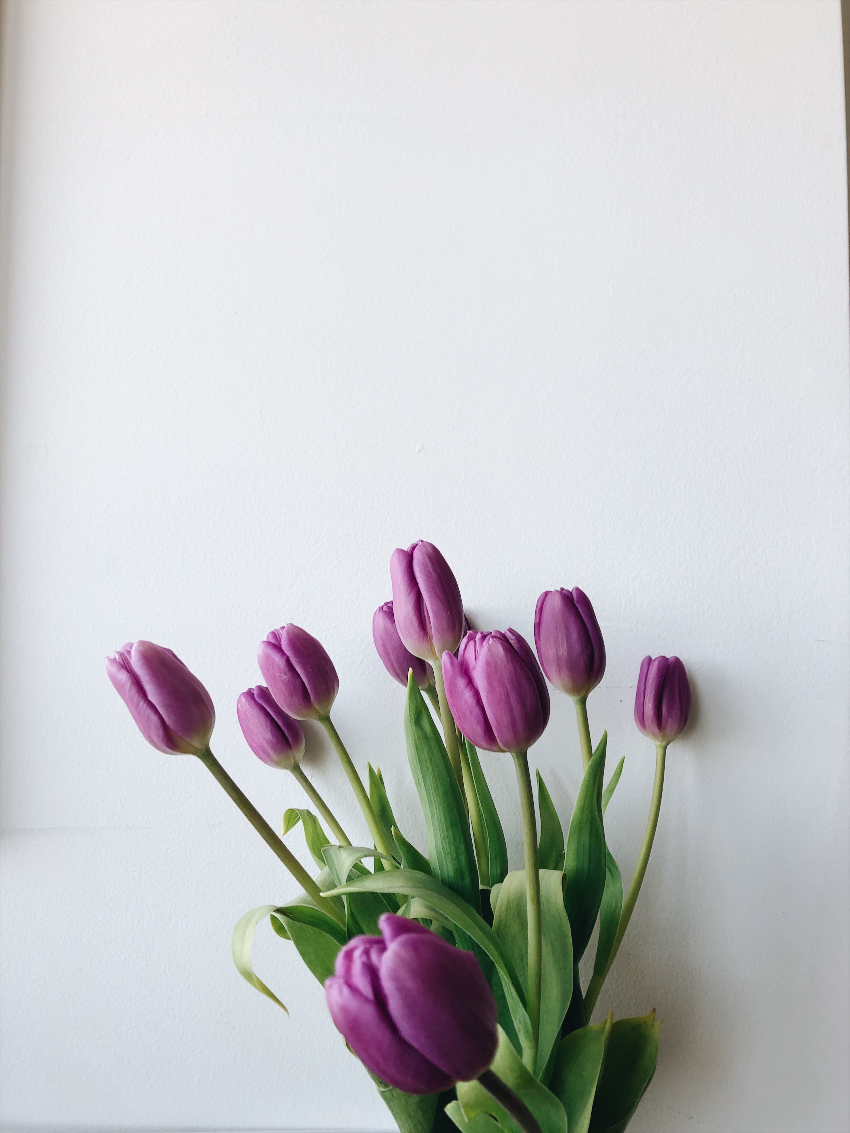 Spring blooms from Trader Joes