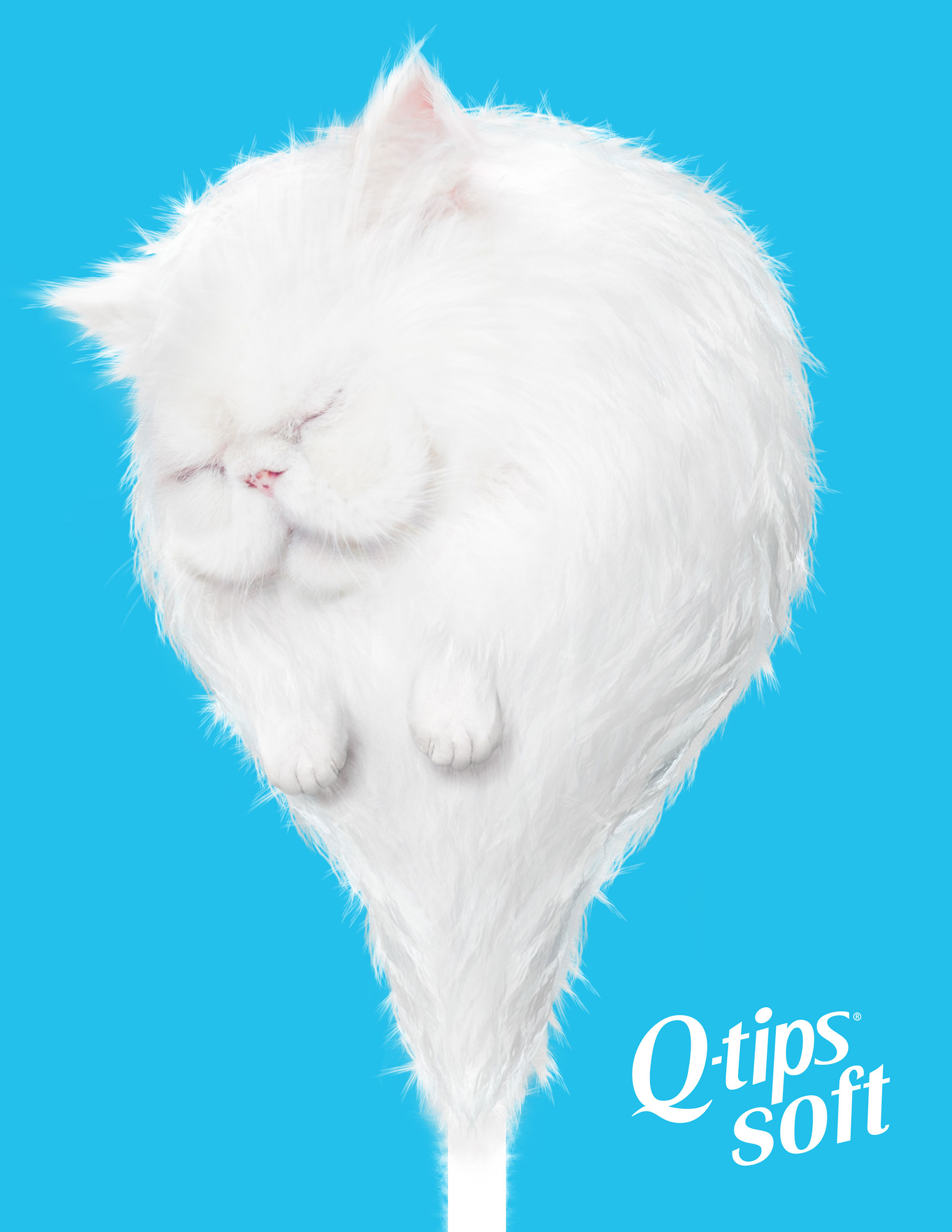 QTip_MagAd_SoftAnimal_Cat.jpg